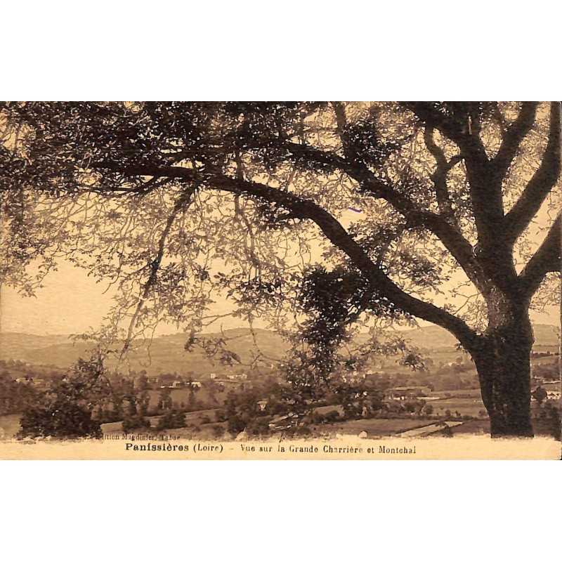 ABAO 42 - Loire [42] Panissières - Vue sur la Grande Charrière et Montchal.