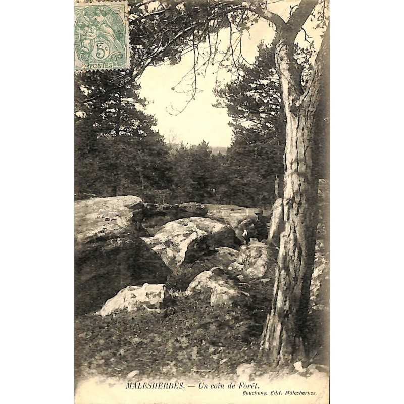 ABAO 45 - Loiret [45] Malesherbes - Un coin de Forêt.