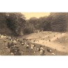 ABAO Bruxelles Bruxelles - Bois de la Cambre. Le Ravin. L'endroit préféré des enfants.