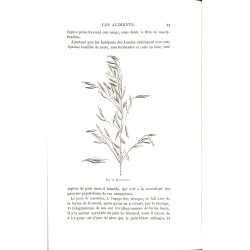 ABAO 1800-1899 Figuier (Louis) - Le Savant du foyer.