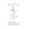 ABAO 1800-1899 Figuier (Louis) - Le Savant du foyer.