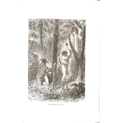ABAO 1800-1899 Figuier (Louis) - Le Savant du foyer.