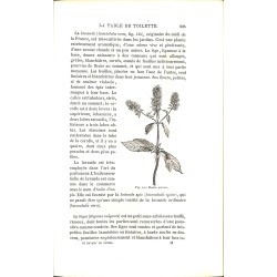 ABAO 1800-1899 Figuier (Louis) - Le Savant du foyer.