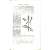 ABAO 1800-1899 Figuier (Louis) - Le Savant du foyer.