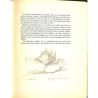 ABAO Littérature Duhamel (Georges) - Chronique de Paris. Au temps des Pasquier.