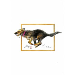 ABAO Bandes dessinées Les Baroudeurs sans frontières 06 TL + Dédicace.