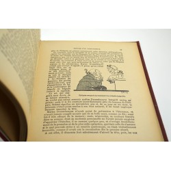 ABAO Enfantina Dumas (Alexandre) - Histoire d'un casse-noisette. Illustrations de Jacqueline Duché.