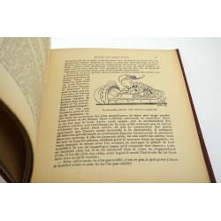 ABAO Enfantina Dumas (Alexandre) - Histoire d'un casse-noisette. Illustrations de Jacqueline Duché.
