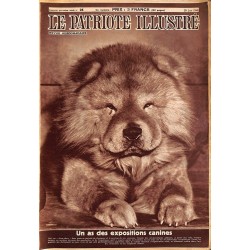 abao.be•Patriote illustré (Le)