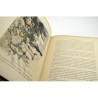 ABAO Enfantina De Foë (Daniel) - Robinson Crusoé. Illustrations de G. Fraipont.