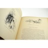 ABAO Enfantina De Foë (Daniel) - Robinson Crusoé. Illustrations de G. Fraipont.