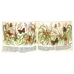ABAO Enfantina Chopping (Richard) - Papillons de jour.