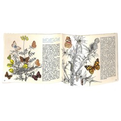 ABAO Enfantina Chopping (Richard) - Papillons de jour.