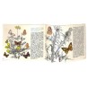 ABAO Enfantina Chopping (Richard) - Papillons de jour.