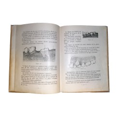 ABAO Enfantina Ferguson (Harrison Wader) - Le Livre des dents pour les enfants.