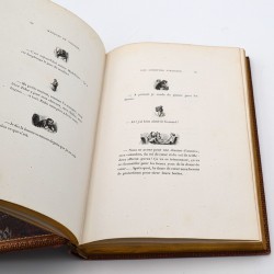 ABAO Livres illustrés Gavarni - Masques & Visages.