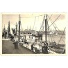 ABAO Flandre occidentale Zeebruges - Port.