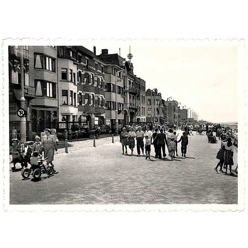 ABAO Flandre occidentale Zeebruges - La Digue.