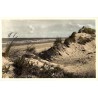 ABAO Flandre occidentale Zeebruges - La dune, ourlet de la mer.
