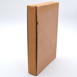 ABAO Curiosa De Voulonges - L'Éducateur.