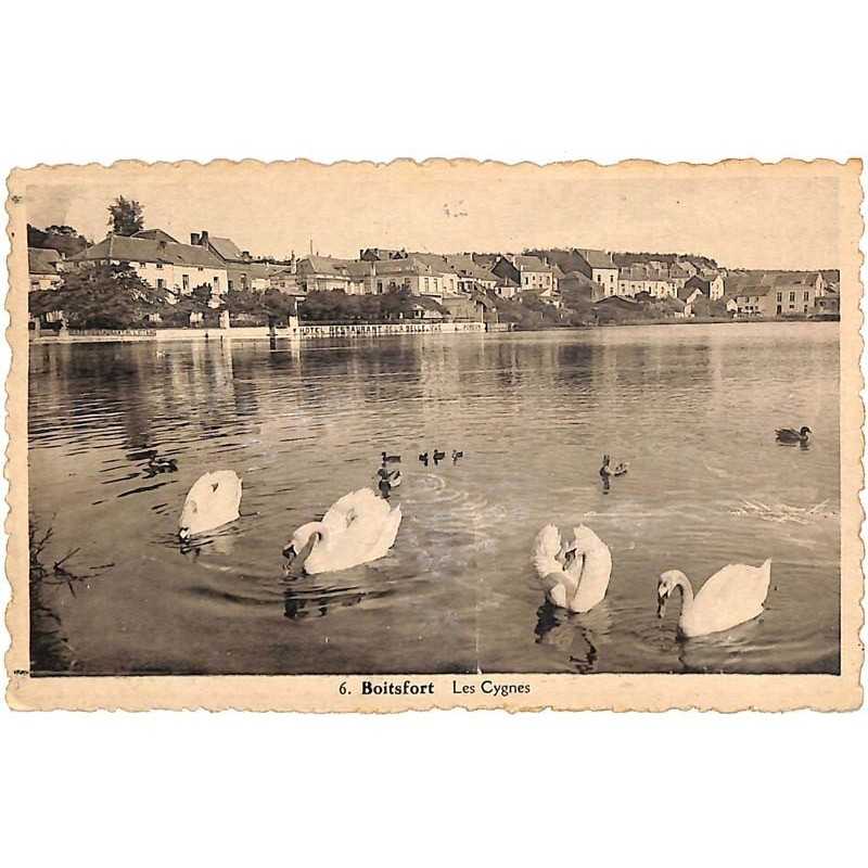 ABAO Bruxelles Watermael-Boitsfort - Les Cygnes.