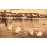 ABAO Bruxelles Watermael-Boitsfort - Les Cygnes.