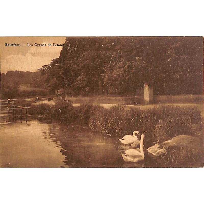 ABAO Bruxelles Watermael-Boitsfort - Les Cygnes de l'étang.