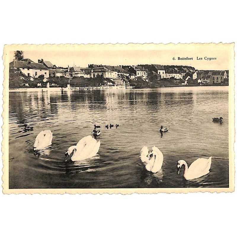 ABAO Bruxelles Watermael-Boitsfort - Les Cygnes.
