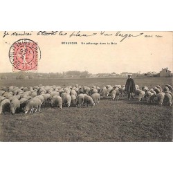 abao.be•50 - Manche