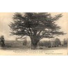 ABAO 77 - Seine-et-Marne [77] Montigny-Lencoup - Cèdre planté par Bernard de Jussieu en 1734.