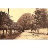 ABAO 77 - Seine-et-Marne [77] Héricy - Les Tilleuls.