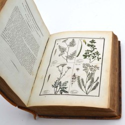 ABAO Sciences naturelles ROQUES (Joseph) - Plantes usuelles, indigènes et exotiques. 2 tomes en 1 vol.