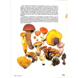 ABAO Sciences naturelles Phillips (Roger) - Les Champignons.