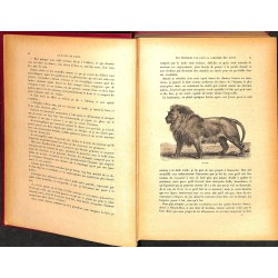 ABAO 1900- GERARD, Jules. LE TUEUR DE LIONS.
