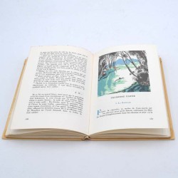 ABAO Livres illustrés Alain-Fournier - Le Grand Meaulnes. Illustrations de Nelly Degouy.