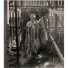 ABAO Photographie Burton (Jean-Dominique) - Semois, les derniers planteurs.