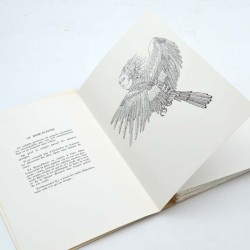 ABAO Livres d'artistes Labisse (Félix) - Histoire naturelle. EO.