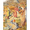 ABAO Peinture, gravure, dessin [Coecke Van Aelst (Peter)] Cleland (Elisabeth) - Peter Coecke Van Aelst.