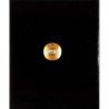 ABAO Arts [Art précolombien] Power of the Sun, The Gold of Colombia.