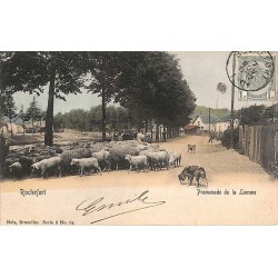 abao.be•Cartes postales anciennes