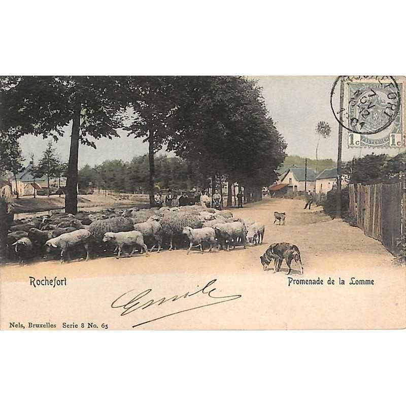 ABAO Namur Rochefort - Promenade de la Lomme.