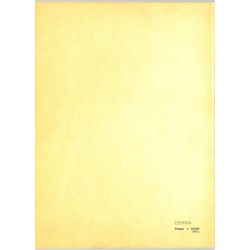 ABAO Essais Baldacci (V) & Rauch (A) - Pinocchio e la sua immagine.