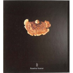 ABAO Arts [Beaux-Arts] De Villiers (Jephan) - Les Ours. Guardiens du peuple d'arbonie.