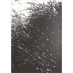 ABAO Arts [Beaux-Arts] Actuel. De l'Estampe. La Forêt la nuit...
