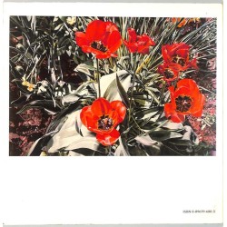 ABAO Peinture, gravure, dessin Strickler (S.) - American traditions in watercolor.