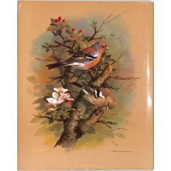 ABAO Essais Unsere schöne vogelwelt.