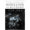 ABAO Histoire [Irlande] Chambers (L) - Rebellion in Kildare. 1790-1803.