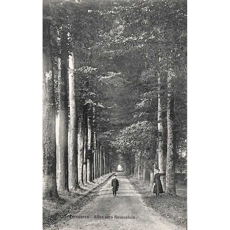 ABAO Brabant flamand Tervueren - Allée vers Ravenstein.