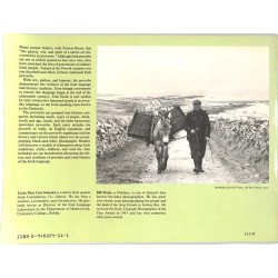 ABAO Essais [Irlande] Mac Con Iomaire & Doyle - Ireland of the proverb.
