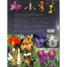 ABAO Sports & Loisirs [Orchidées] Encyclopédie des orchidées tropicales.